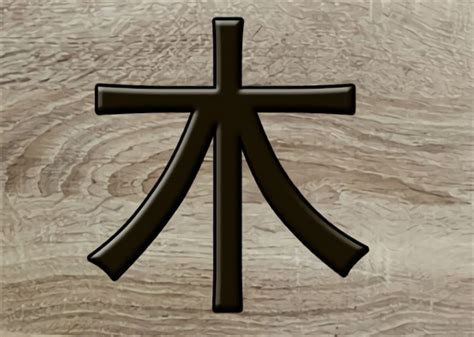 八字木多的人|八字木多的人命运好不好？八字木多的人性格特点有哪些？